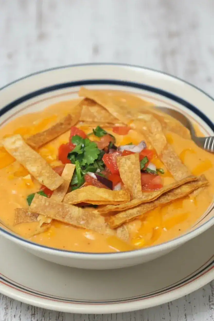 Creamy cheese and tomato soup topped with crispy tortilla strips, fresh cilantro, and diced tomatoes, served in a classic bowl. Perfect comfort food for a cozy meal.