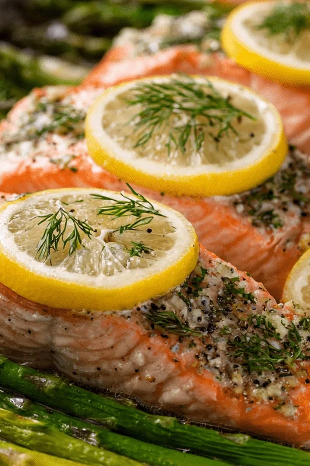 20 Easy & Healthy High Protein Low Carb Dinner Ideas