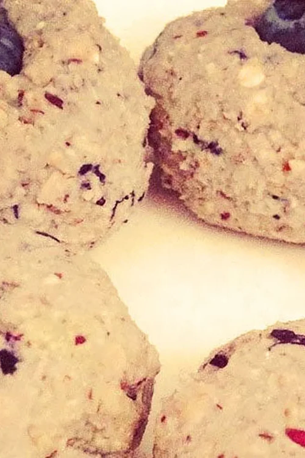 Vanilla Bean Blueberry Bites